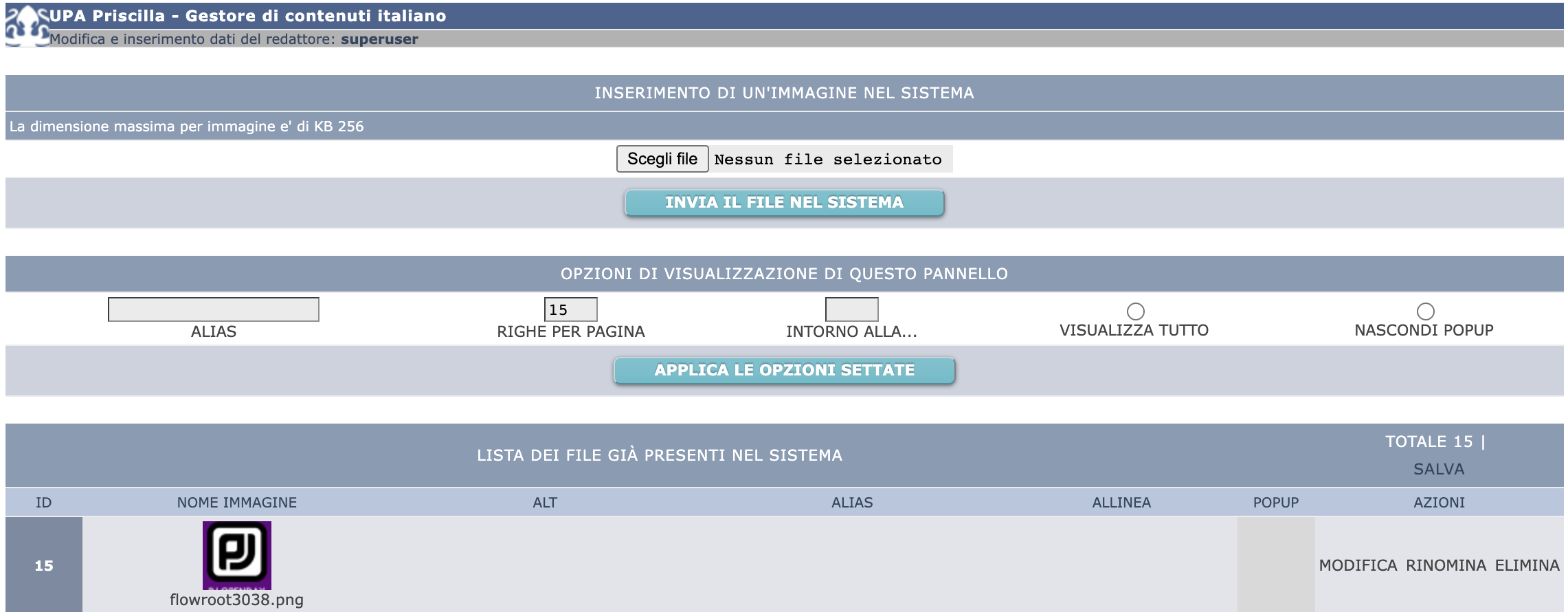 Priscilla regina del web